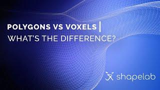 Polygons vs voxels | What's the difference?