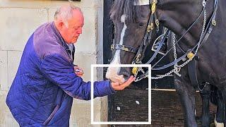 GENT FEEDS THE HORSE MINTS - THEN IDIOTS ARRIVE and GRAB THE REINS at Horse Guards!