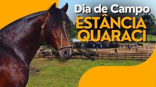 Estância Quaraci segue firme no Cavalo Crioulo e promove Dia de Campo!!