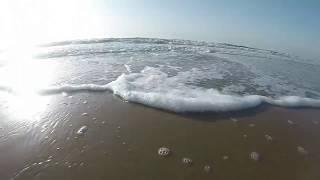 SENEGAL #6 - Casamance (Ziguinchor, Bignona, Diouloulou, Abéné) + Banjul