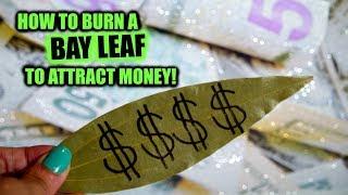 How To Burn Bay Leaves For Money! │ Use A Bay Leaf To Manifest Prosperity