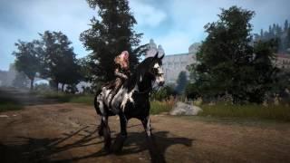 Black Desert Online 2nd Beta Seamless World Riding No UI UHD