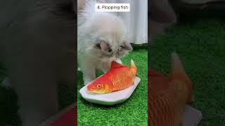 Amazon Cat Toy Best Sellers to make your cat purr :) #amazonfinds #founditonamazon #cat
