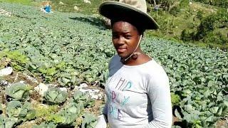 25 YEAR OLD FEMALE FARMER, FARMER GIRL JESSIE |A TEENAGE MOM & HIGH SCHOOL DROP OUT/ AN INSPIRATION