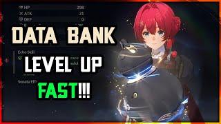 DATA BANK GUIDE FOR FAST LEVEL UP | Wuthering Waves