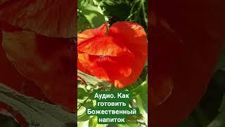 Аудио. Как готовить божественный напиток с мёдом