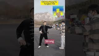 Kung Fu Health Preservation | Tongbei Fist | Relieve Fatigue#wudang #taichi #health#Qigong