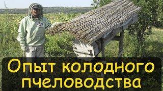 Колодное пчеловодство. Реальный опыт. Содержание пчел в колодах  Владимир Петрушев