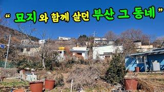 [앞으로 없어 질 동네] 주택 옆 묘지가 이상하지 않고 함께 어울려 살던 동네 #부부따