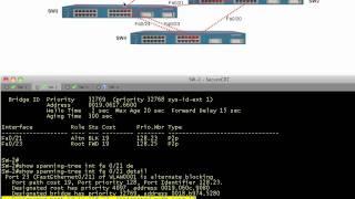 Spanning-tree, intermediate level