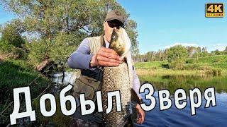 Спиннинг на малой реке. Рыбалка на голавля и жереха