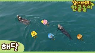 * Sea Otter * | Learn Animals Name in Korean | Katuri | Learn Korean | Learn Animals