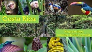 Costa Rica 2016  - Naturparadies zwischen Karibik und Pazifik