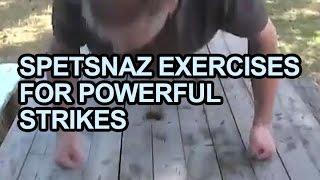 RUSSIAN SYSTEMA SPETSNAZ TRAINING - How to Develop Powerful Strikes and Punches