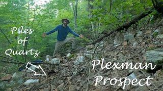 Bushwhacking To Find The Hidden Plexman Prospect (A Quartz, Magnetic Mineral & Rockhound Adventure)