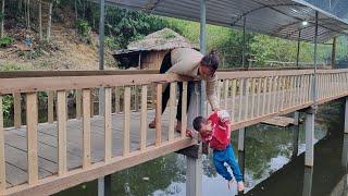 Journey to completing a new house - Harvesting green vegetables to sell | Lý Thị Ghển