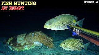 NIGHT SPEARFISHING EPISODE 142 | FISH HUNTING AT NIGHT