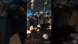 НОЧЬЮ ВЫКИДЫВАТЬ МУСОР. ИНГА ХОСРОЕВА. ВЕДЬМИНА ИЗБА.