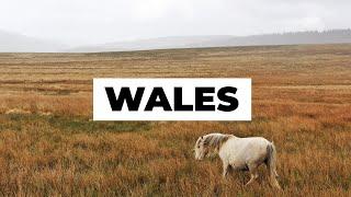 Traveling Wales alone (1)