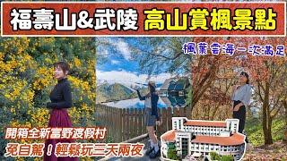 全台最高賞楓景點！免自駕玩高山三天兩夜！台灣小瑞士福壽山農場、武陵農場，雪山必訪天空之鏡！ 斥資四億全新高海拔飯店、絕美星空美景！好想去台中