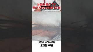 [NO.18][파주복층빌라]3개동 5룸의 완벽한 2층집  #shorts