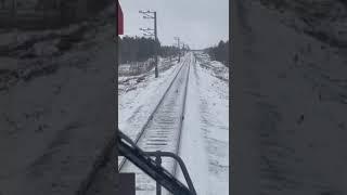 Бегущая по ж/д путям утка