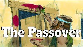 Moses & The 10 plagues (Part 2) : Book of Exodus (Part 6)