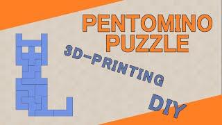 Pentomino Puzzles - 2-dimensional and 3-dimensional