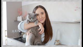 SZUKAMY NOWEGO MIESZKANIA, CO Z NASZĄ KICIĄ I HAUL ZAKUPOWY - VLOG