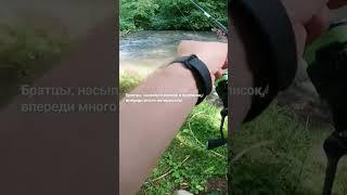 Форелевая речка после дождя! #рыбалка2023 #troutfishing #дикаяфорель