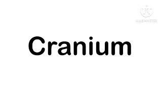 Cranium