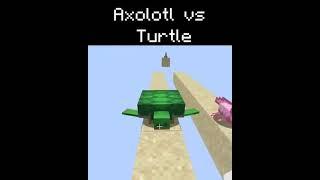 Axolotl VS Turtle