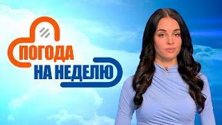 Привычное тепло начнёт возвращаться! | Погода в Беларуси с 21 по 27 июля | Плюс-минус