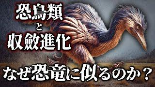 【ゆっくり解説】恐竜絶滅後の覇者、恐鳥類！覇者は皆同じ姿になる？！