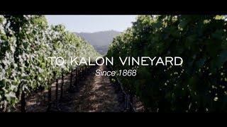 ROBERT MONDAVI WINERY - TO KALON VINEYARD