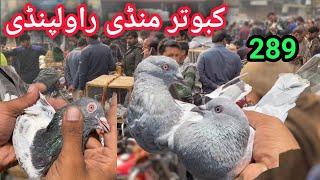 289 | Biggest High Flyer Kabootar Mandi Rawalpindi | Latest Update Pigeon Market Price 23/6/2024