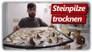 Steinpilze trocknen | Wie trocknet man Pilze?