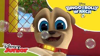  Bańkowe szaleństwo | Bingo i Rolly w akcji | Disney Junior Polska