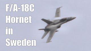 FinAF F/A-18C Hornet at Swedish Air Force Day 2024 - Friday Practise Flight