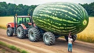 Biggest Fruits and Vegetables Ever Recorded