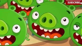 Angry Birds Toons S02E17 Bearded Ambition