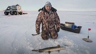 Рыбалка на Ямале. Режь леску - щука слишком большая | С полем!