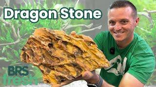 Aquarium Dragon Stone - The Best Aquascaping Rock!