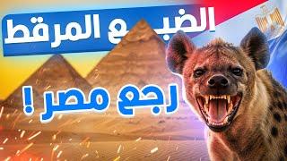 الضبع المرقط ظهر في مصر بعد 5 آلاف سنة