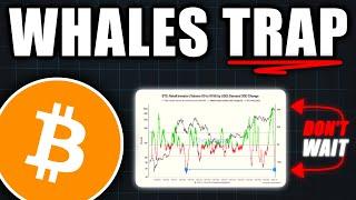 Bitcoin Holders: You NEED to See This Chart! - Bitcoin Price Prediction Today