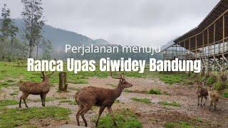 Bekasi ke Ranca Upas Ciwidey Bandung | Main ke kandang Rusa | wisata terekomendasi di bandung
