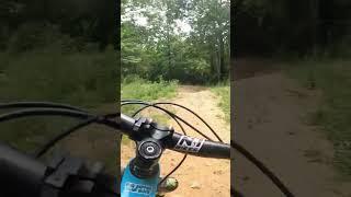 Talladega Trail flowing with some Mountain Bike ASMR from Windrock Bike Park