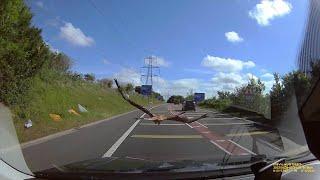 Red Kite dive bombing me