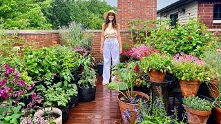 July Container Garden Tour | Front Rooftop Deck Garden