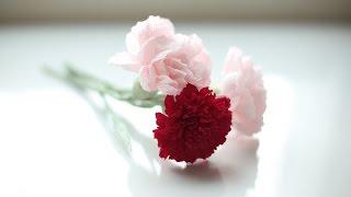 How to make paper flowers #.Carnation FREE! SO EASY!!